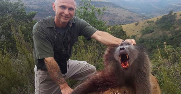 Un cazador es devorado por un grupo de leones después de que matase a tres familias de babuinos