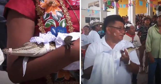 Un alcalde mexicano se casa con un cocodrilo